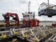 Sea trials have shown the system is highly effective at keeping targeted fish species away from Hinkley Point C’s water intake tunnels.
